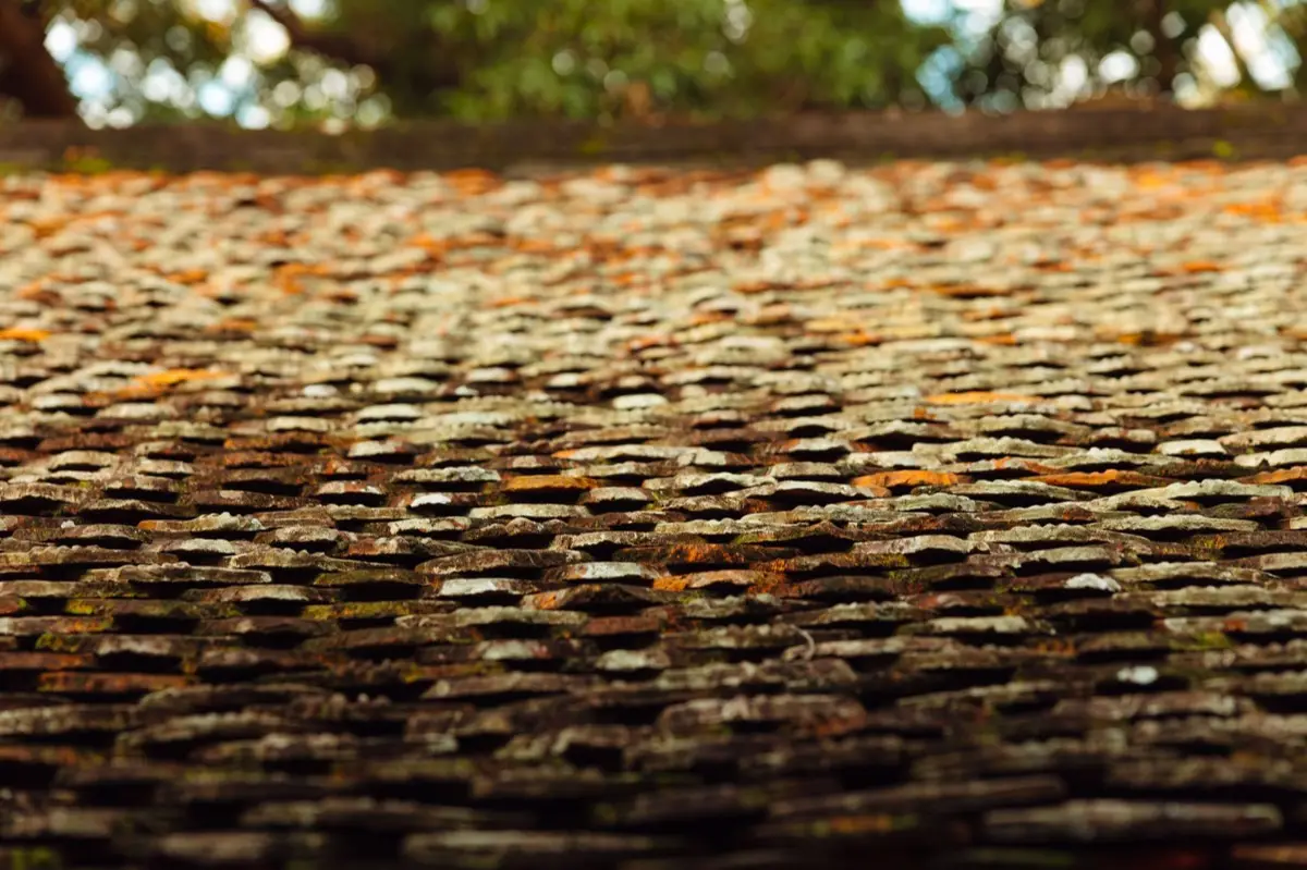 Roof Leak Repair in Dayton, OH